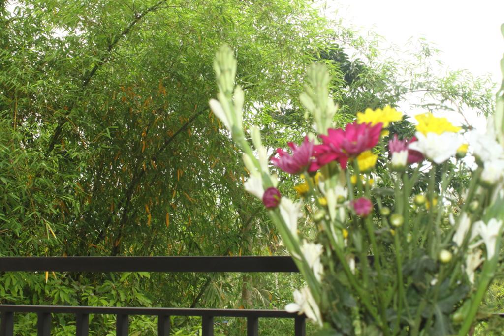 हॉलिडे पार्क Bambu *